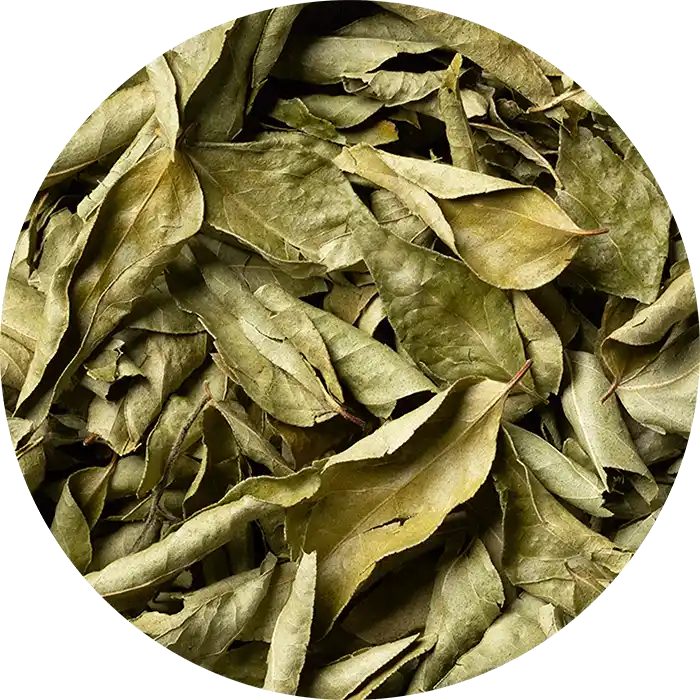 Dehydrated Curry Leaves