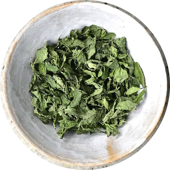 Dehydrated Mint Leaves_